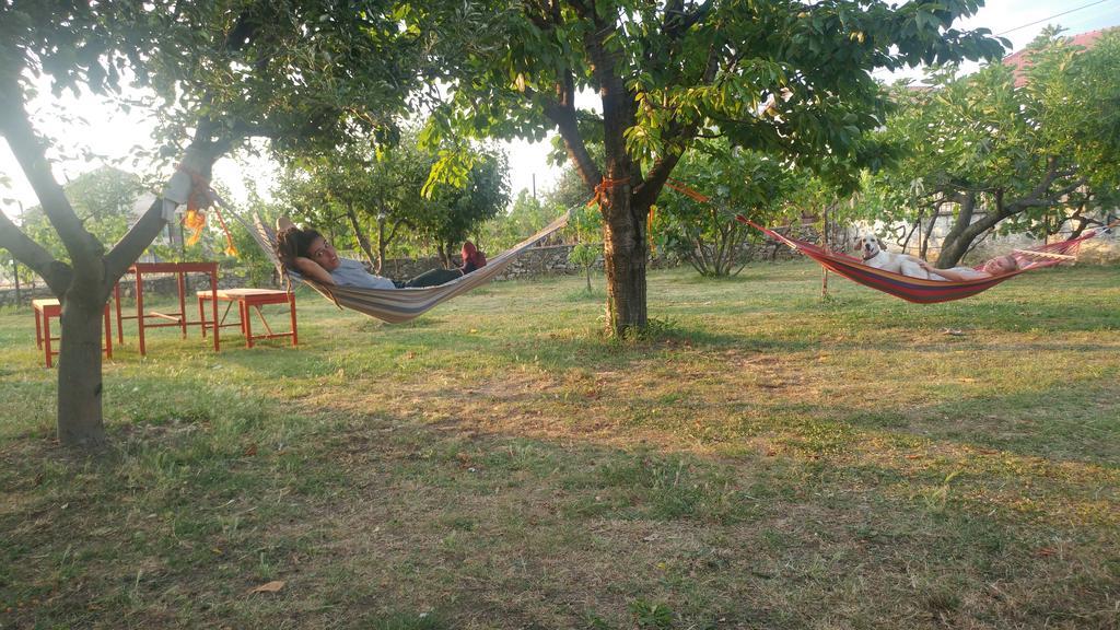 Green Garden Guesthouse Shkodër Eksteriør billede